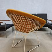 Diamond wire chair Harry Bertoia Knoll