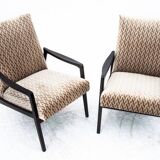 Pair of vintage armchairs, Poland, 1960s. After renovation.