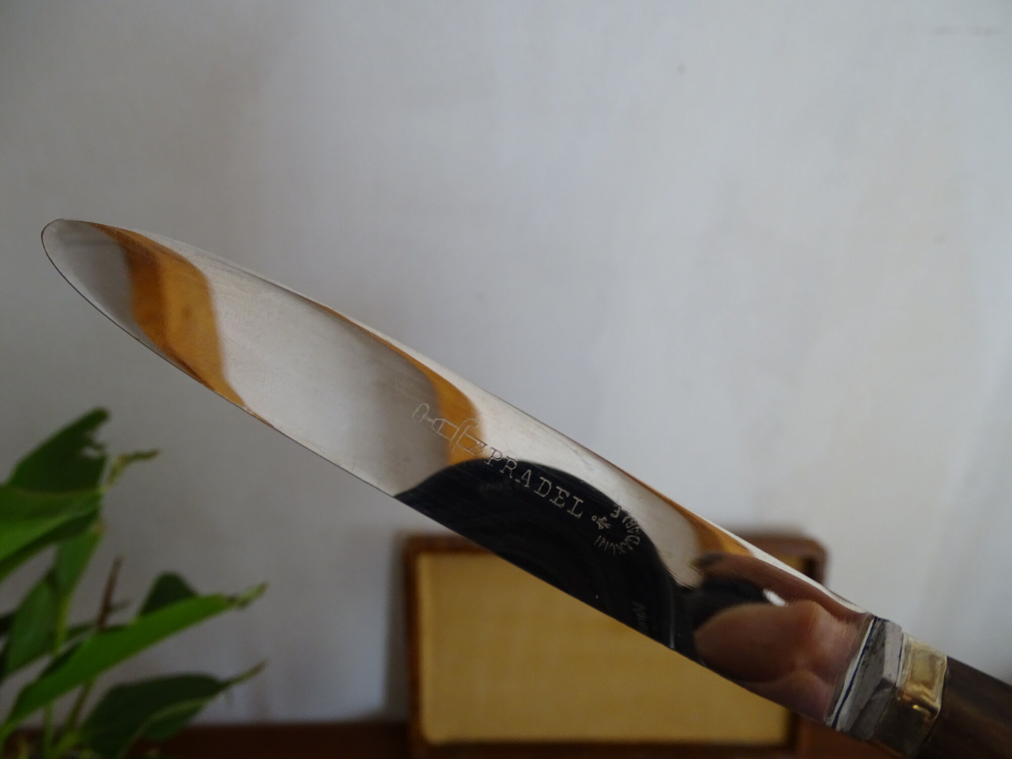 12 vintage Pradel cheese knives horn and stainless steel handles in case