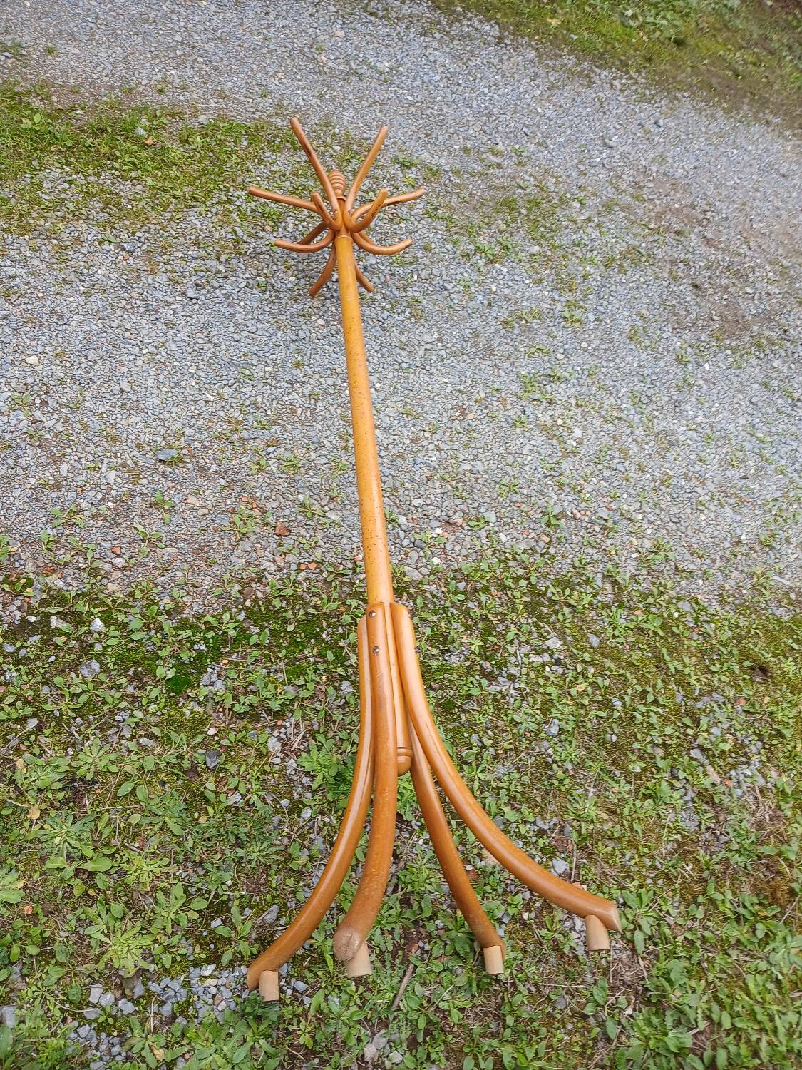 Antique parrot coat rack