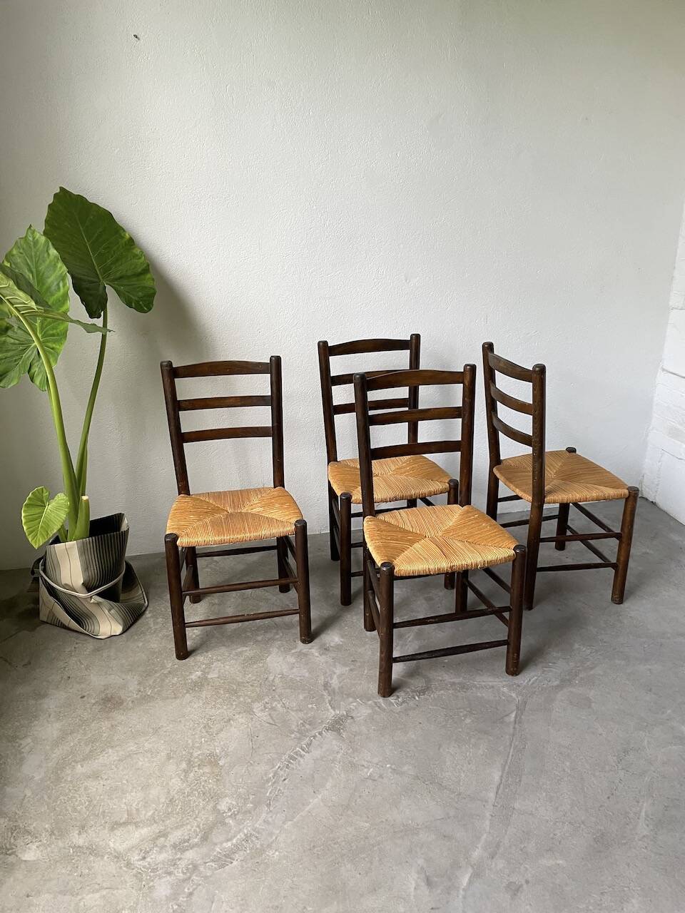 Set of 4 straw chairs from the 50s Dudouyt