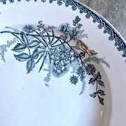 Sainte Amandinoise hollow plate in iron clay, "Margot" service