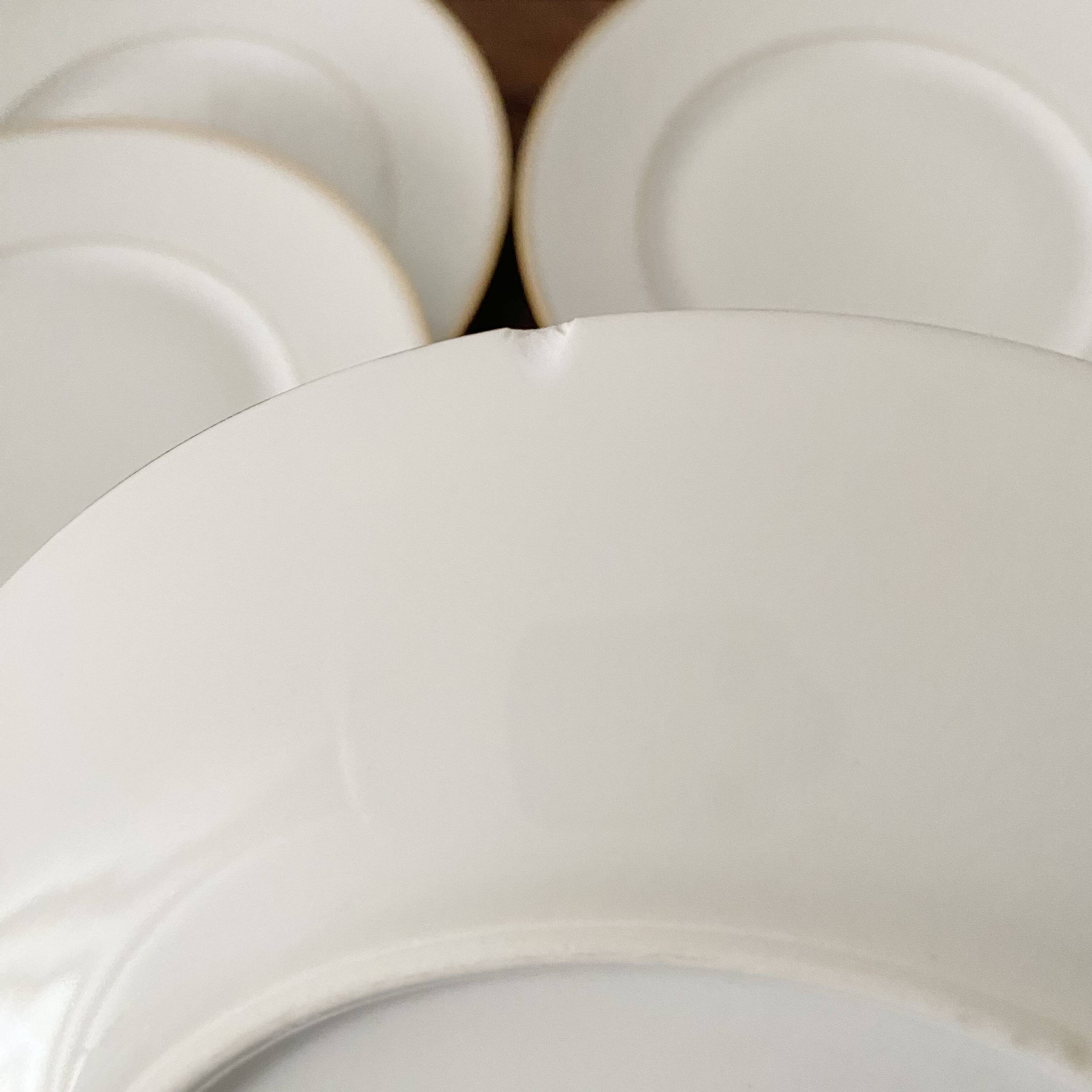 Limoges porcelain flat plate