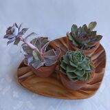 Fake wood dish Vallauris vintage