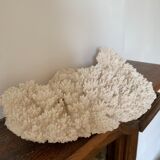 White coral 33 cm