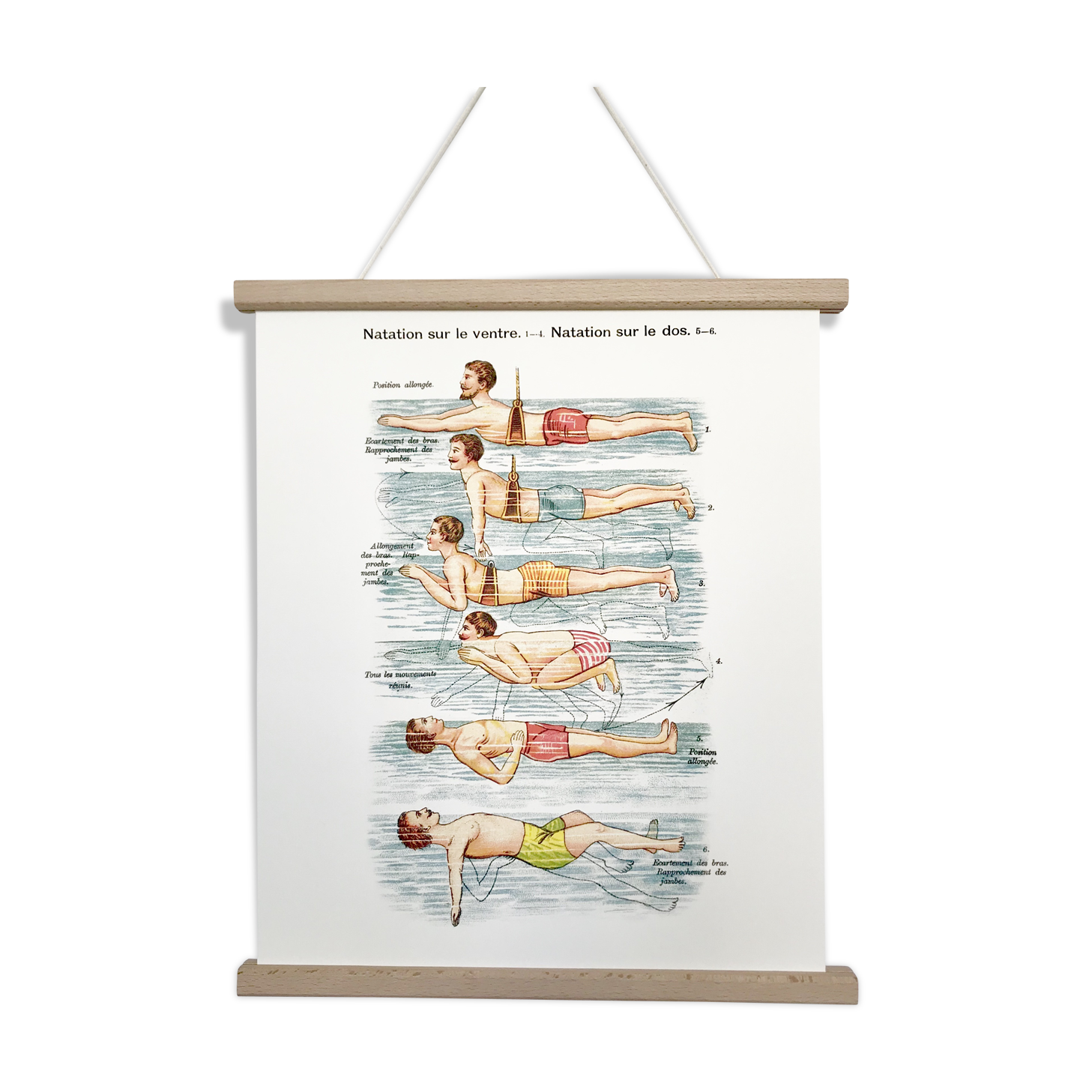 Poster in colors decomposing the movements of swimming
