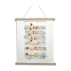 Poster in colors decomposing the movements of swimming