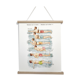 Poster in colors decomposing the movements of swimming