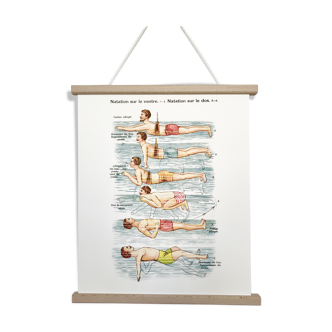 Poster in colors decomposing the movements of swimming