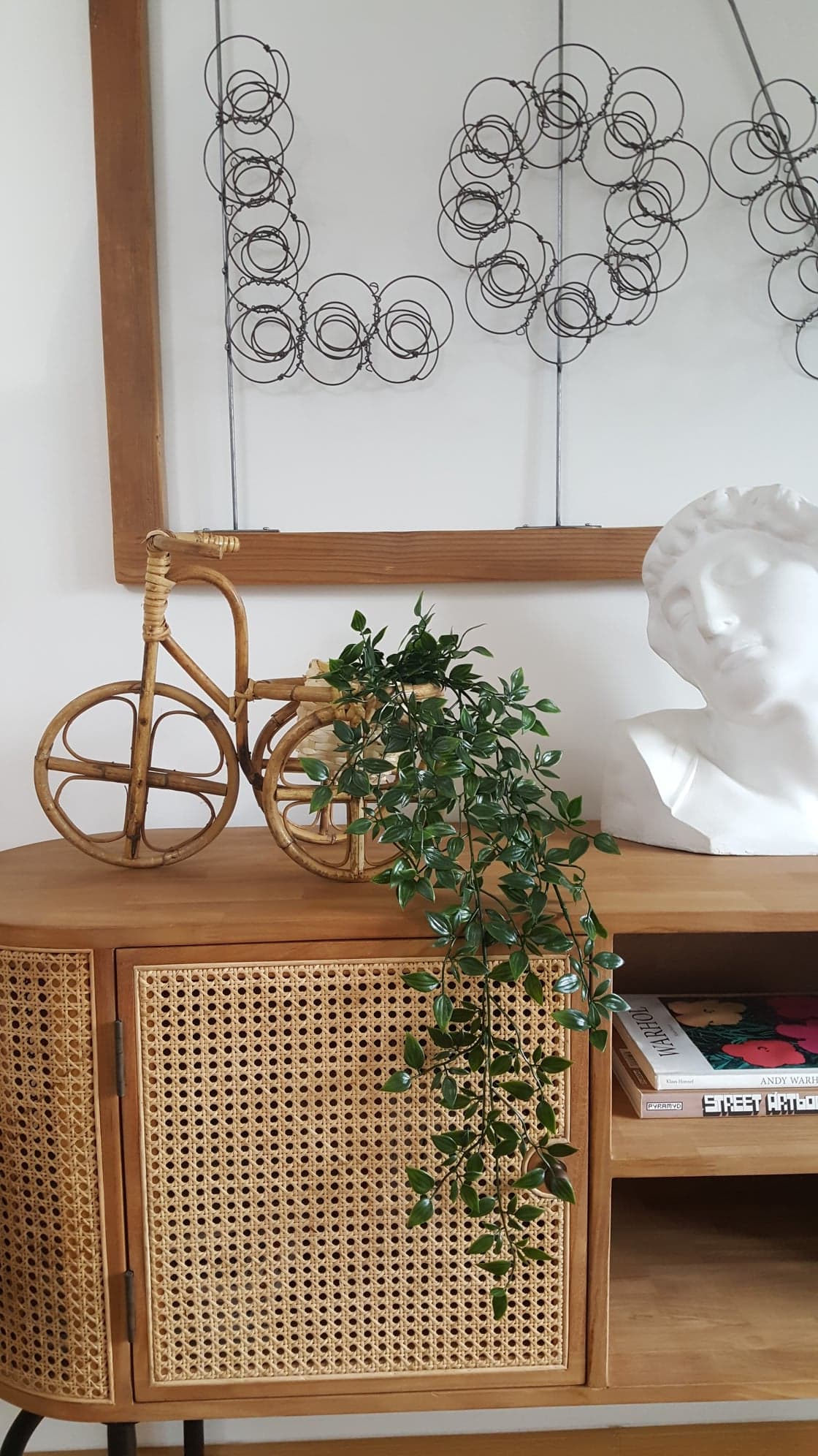 Rattan tricycle plant door