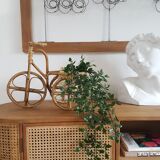 Rattan tricycle plant door