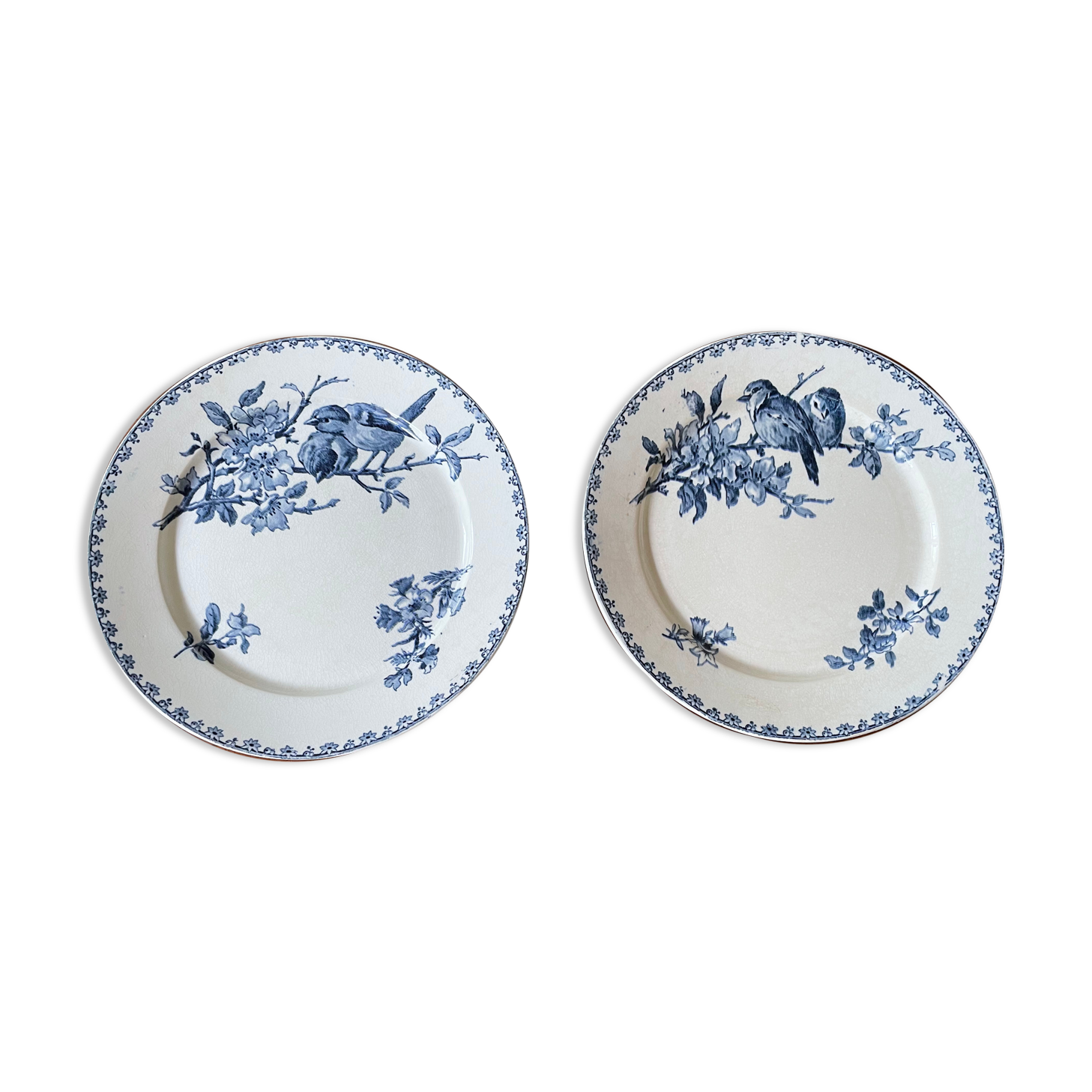 Flat plates Sarreguemines Iron Earth model Blue favorite