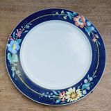 Xenia plate