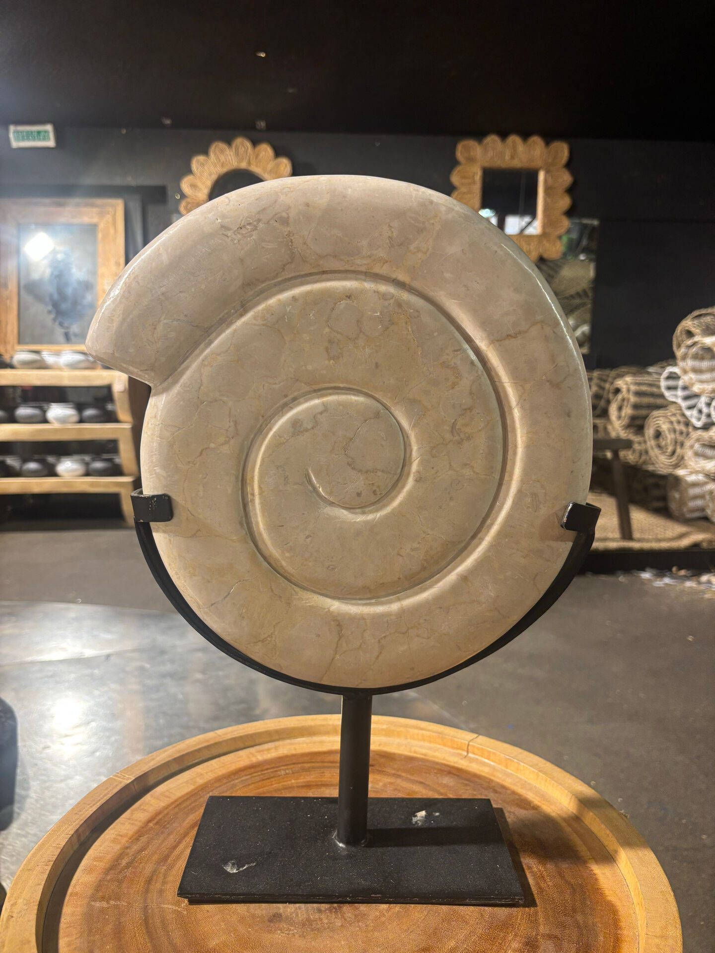 Shell in stone carved on a base