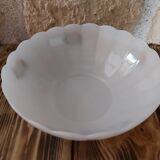 Salad bowl Arcopal Fruits of France