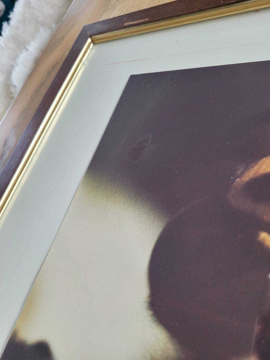 Dragonfly vintage photo painting