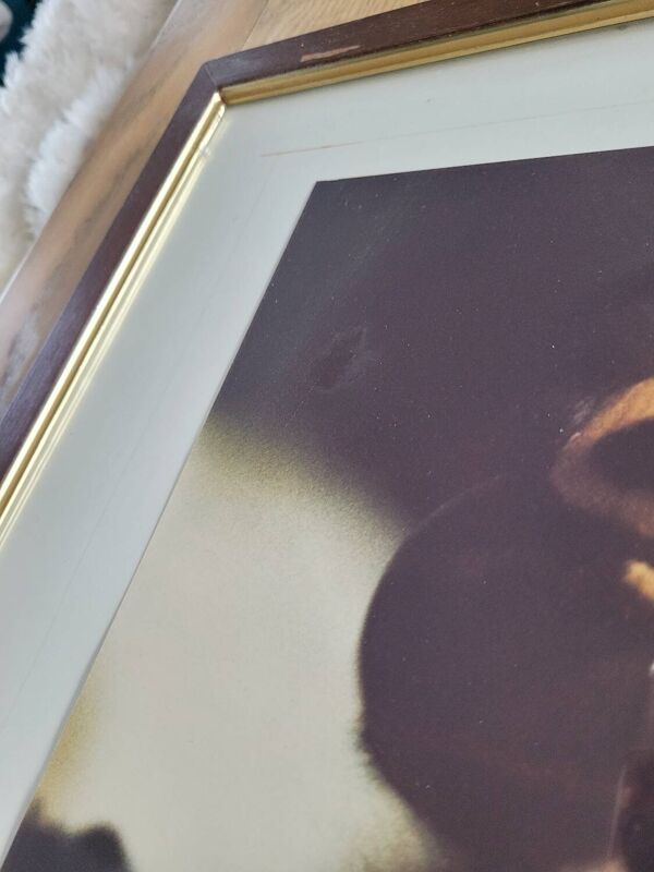 Tableau photo vintage Libellule