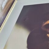 Tableau photo vintage Libellule