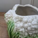 Pot cauliflower in slip