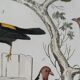 Original ornithological plate " Goldfinch - Grand Tangara -&c..." Buffon (1837)