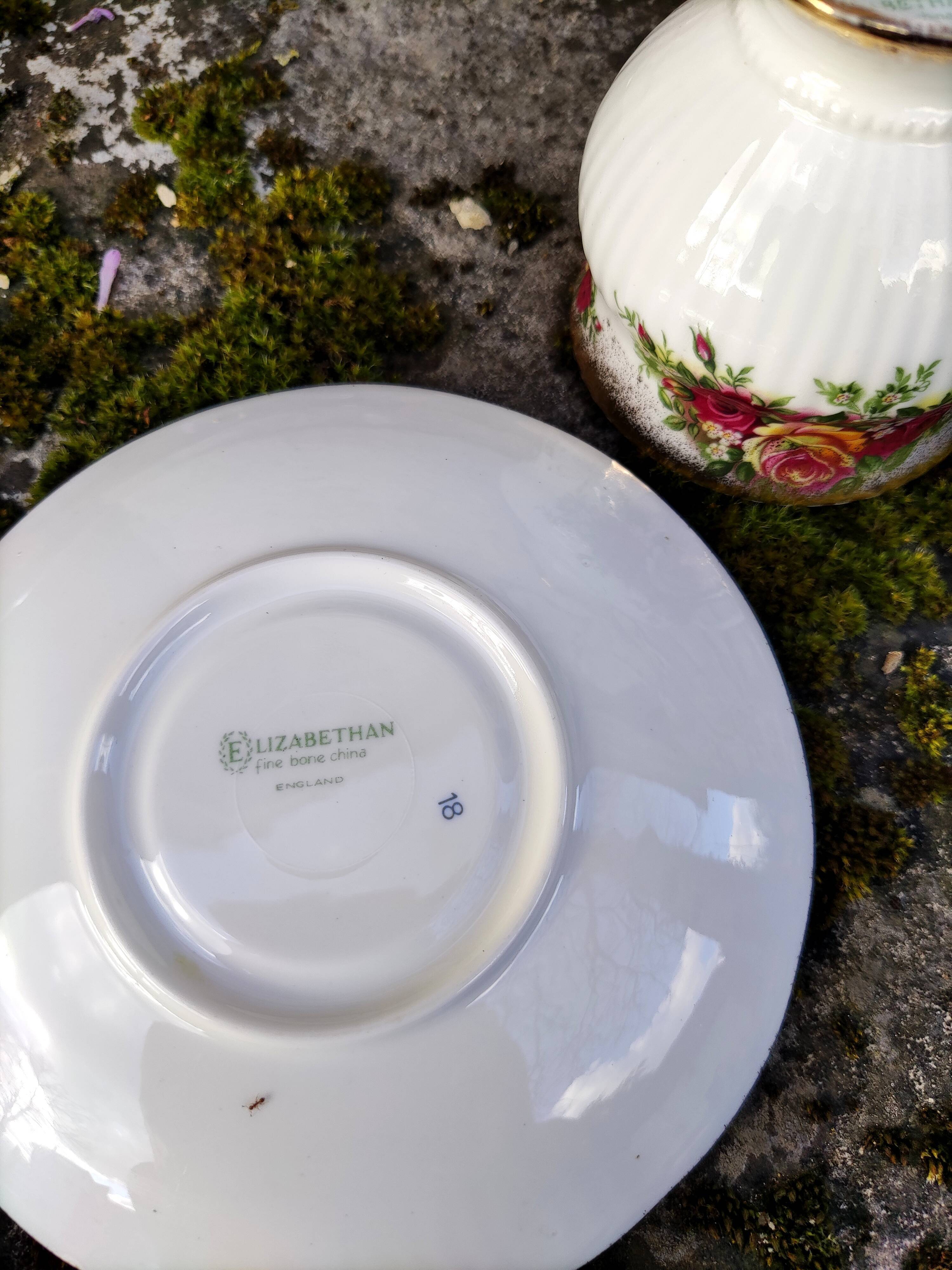 English porcelain cup Elisabeth