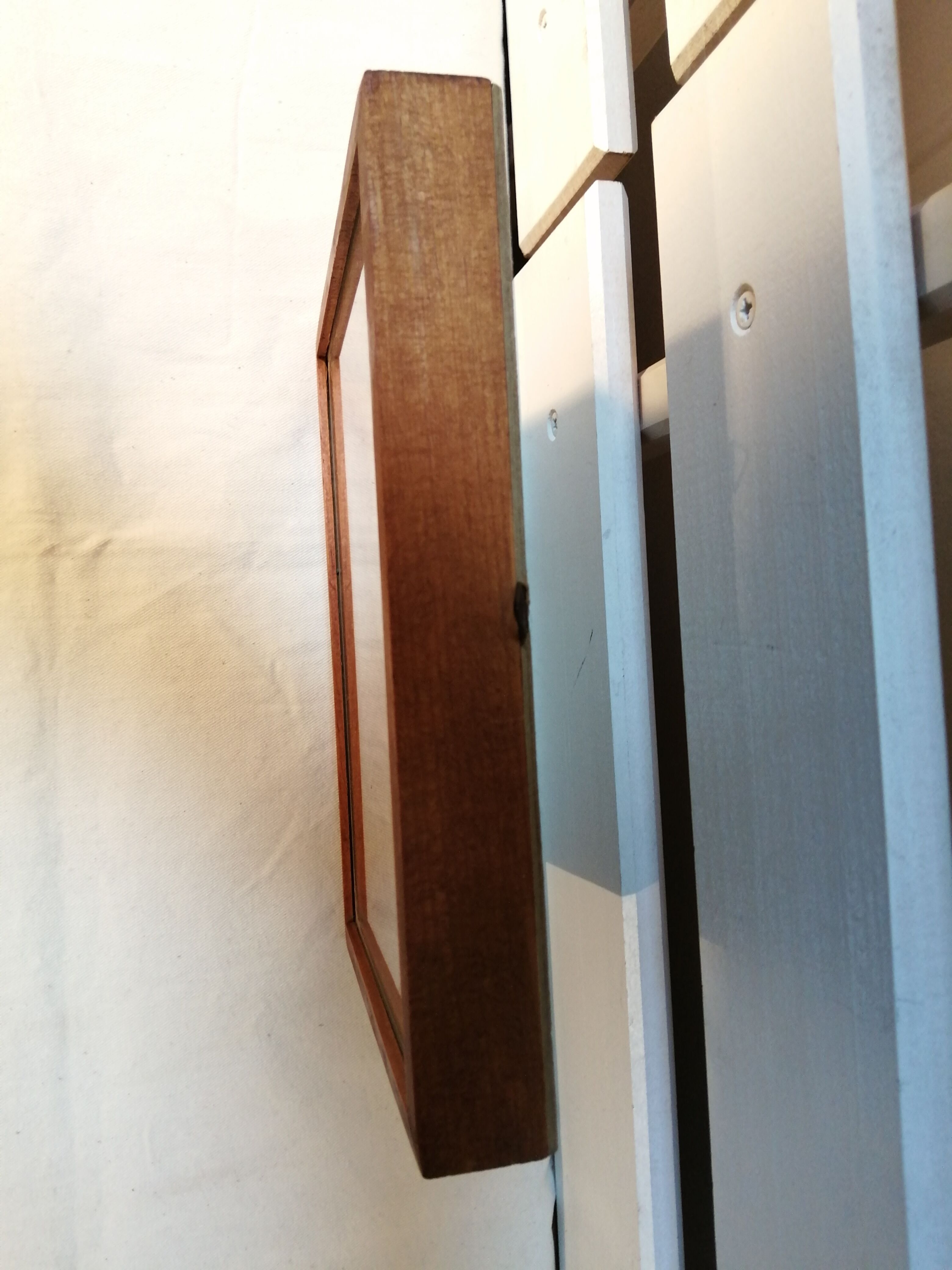 Butterfly frame Morpho Menelaus - Brazil