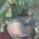 Large vintage original floral still life painting with fruit