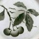 Antique ironstone dessert plate decorated with cherries, Pexonne earthenware