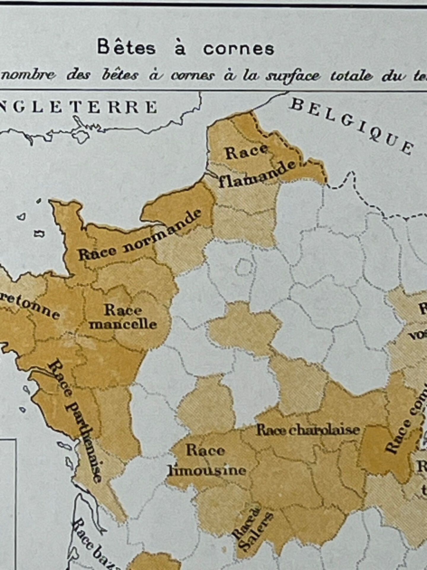 Double map plan France Agriculture Livestock 55.5x37.5cm