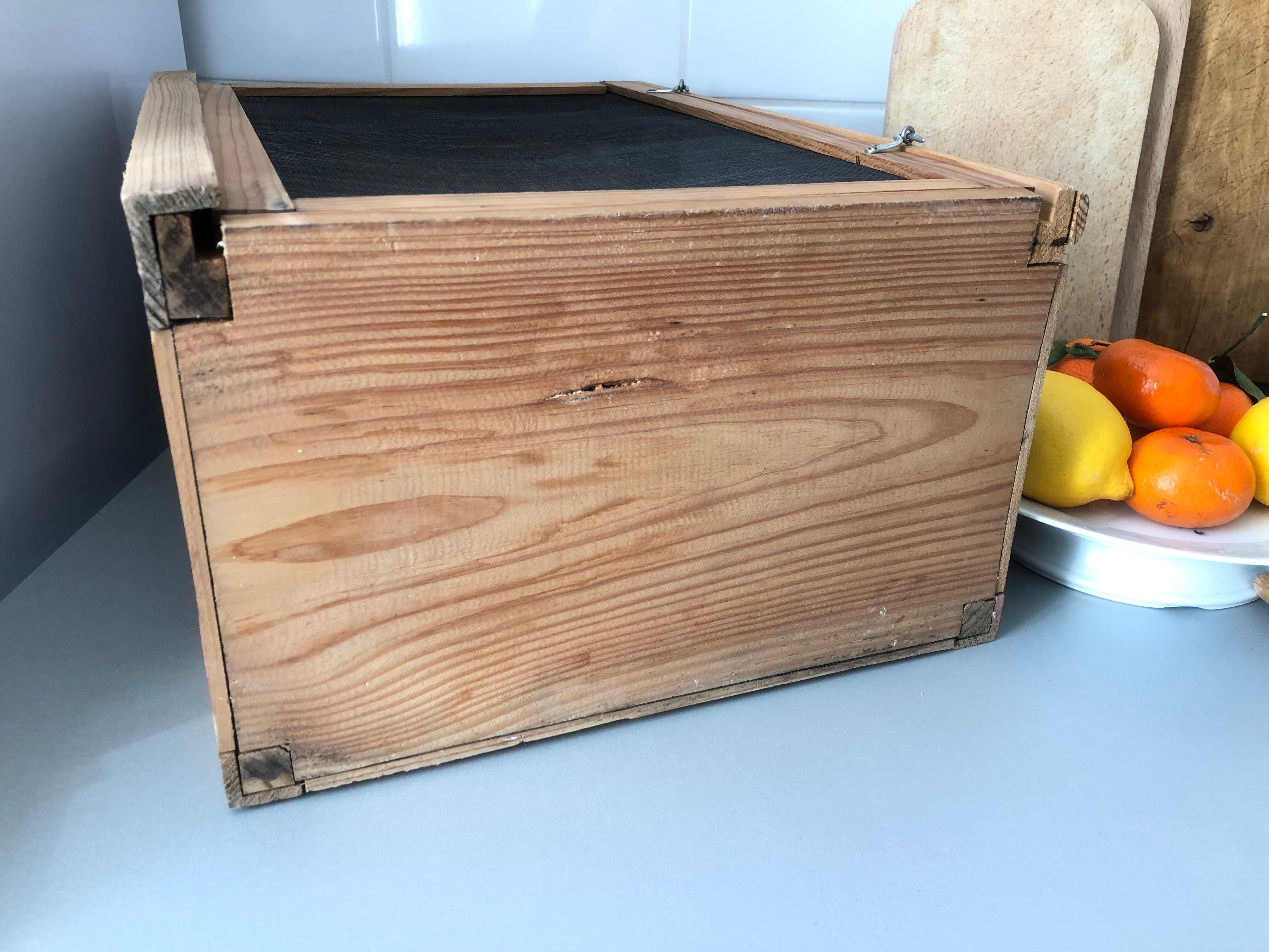 Old wood eating wareat