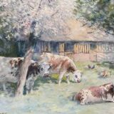 Normandy cows signed Merlet