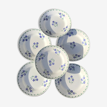 6 assiettes plates bleuets porcelaine opaque de gien