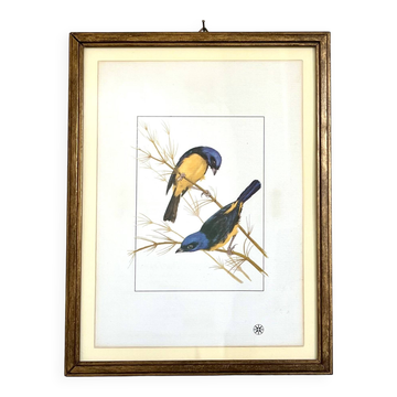 Bird frame