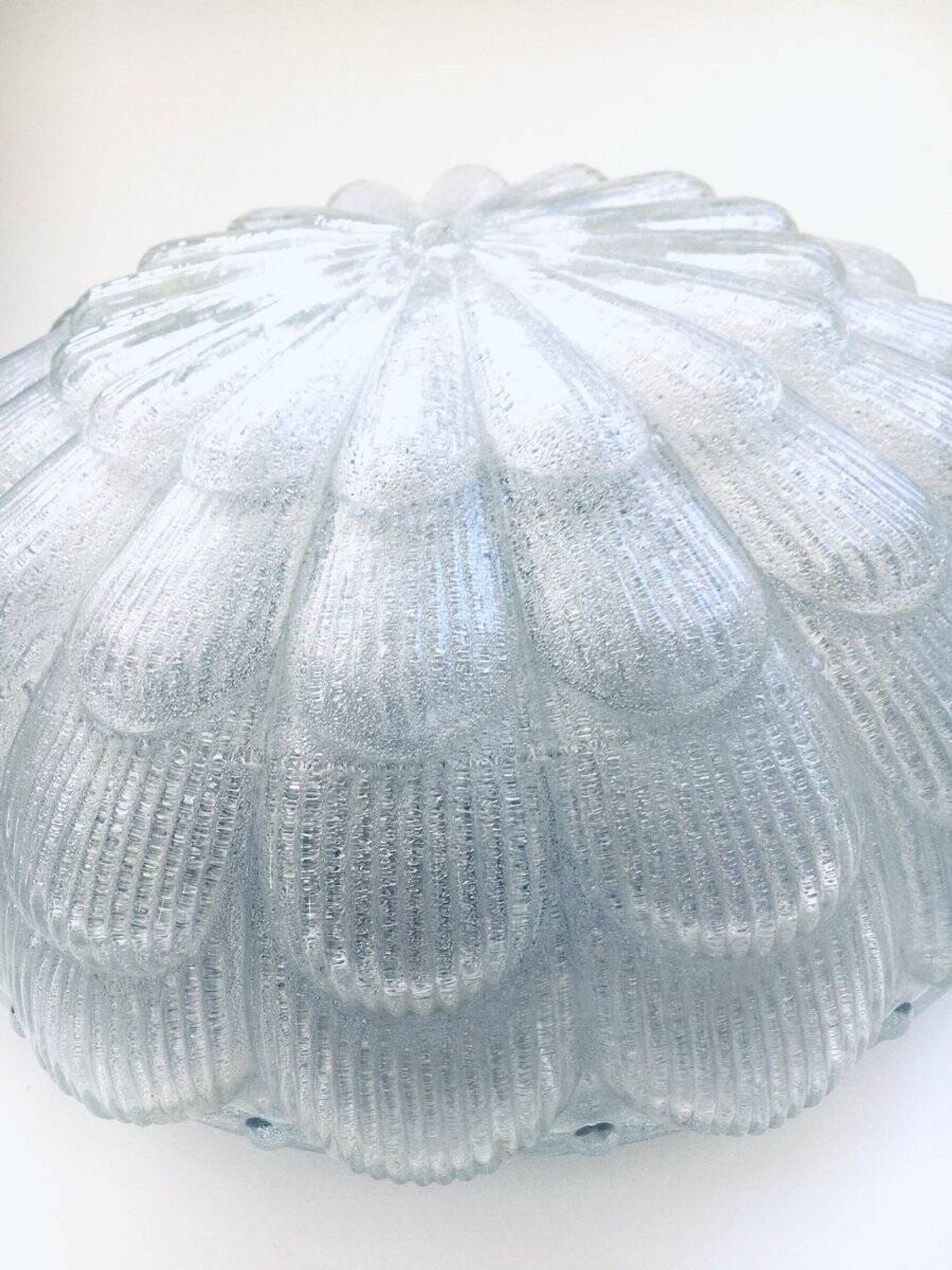 Large Frosted Flower Glass Sconce Wall Lamp from MCM, 1960s