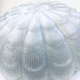 Large Frosted Flower Glass Sconce Wall Lamp from MCM, 1960s