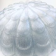 Large Frosted Flower Glass Sconce Wall Lamp from MCM, 1960s