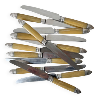 12 vintage Pradel stainless steel bakelite knives