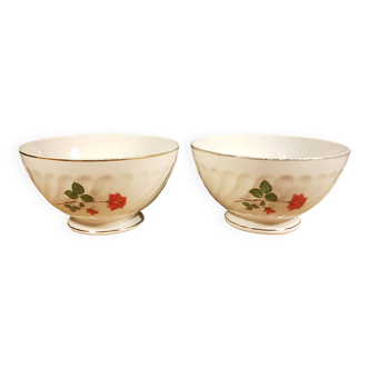 2 Digoin Sarreguemines bowls