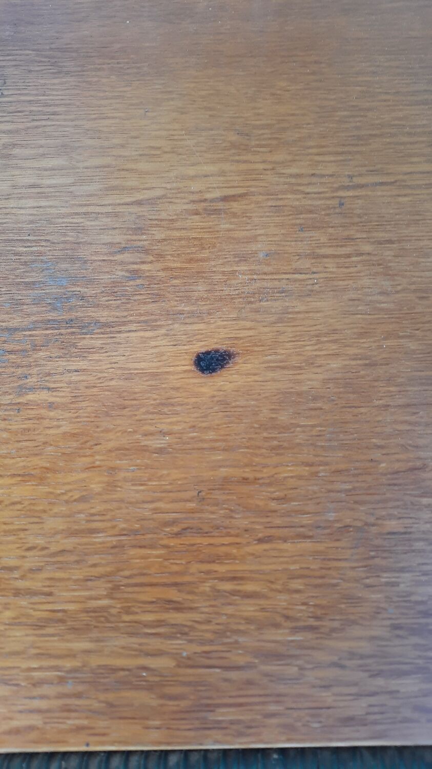 Trolley on wheels with vinyl door