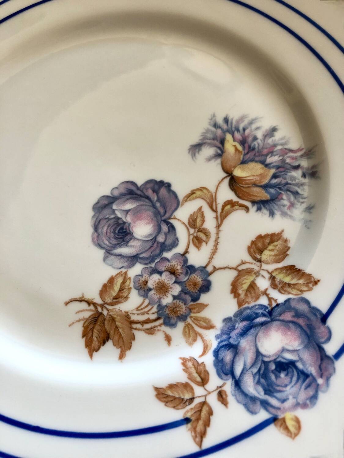 Limoges Picard France Dessert Service