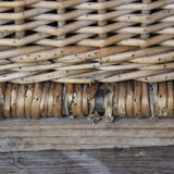 Wicker trunk