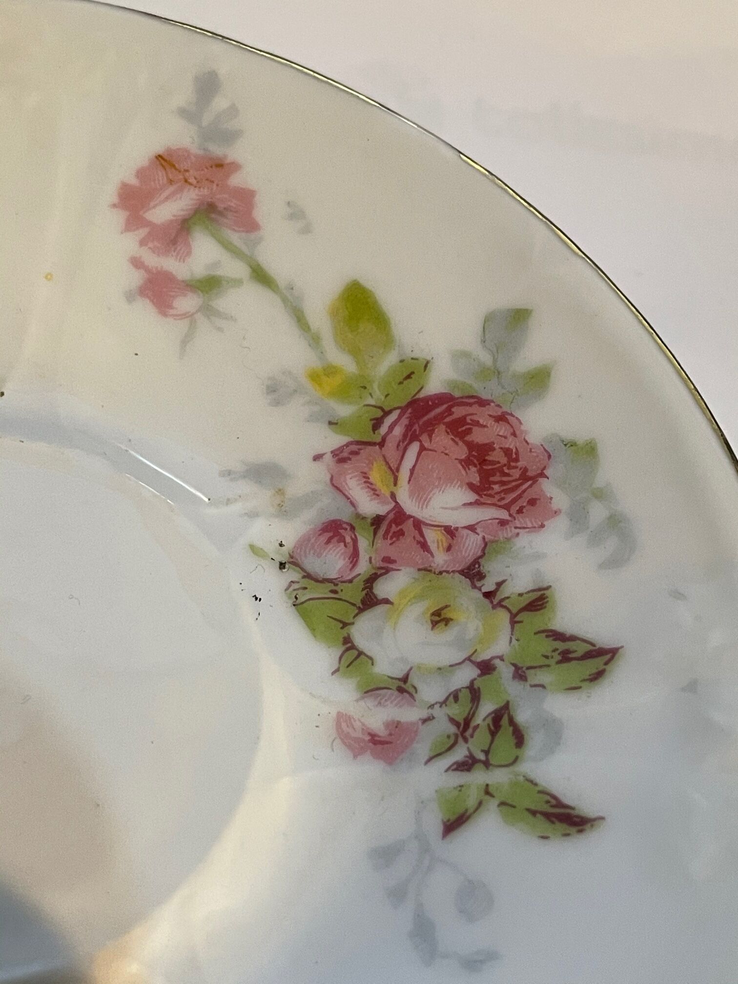 Tasse et sous tasse à décor floral et oiseau