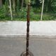 Vintage turned solid wood floor lamp from the 20th century.