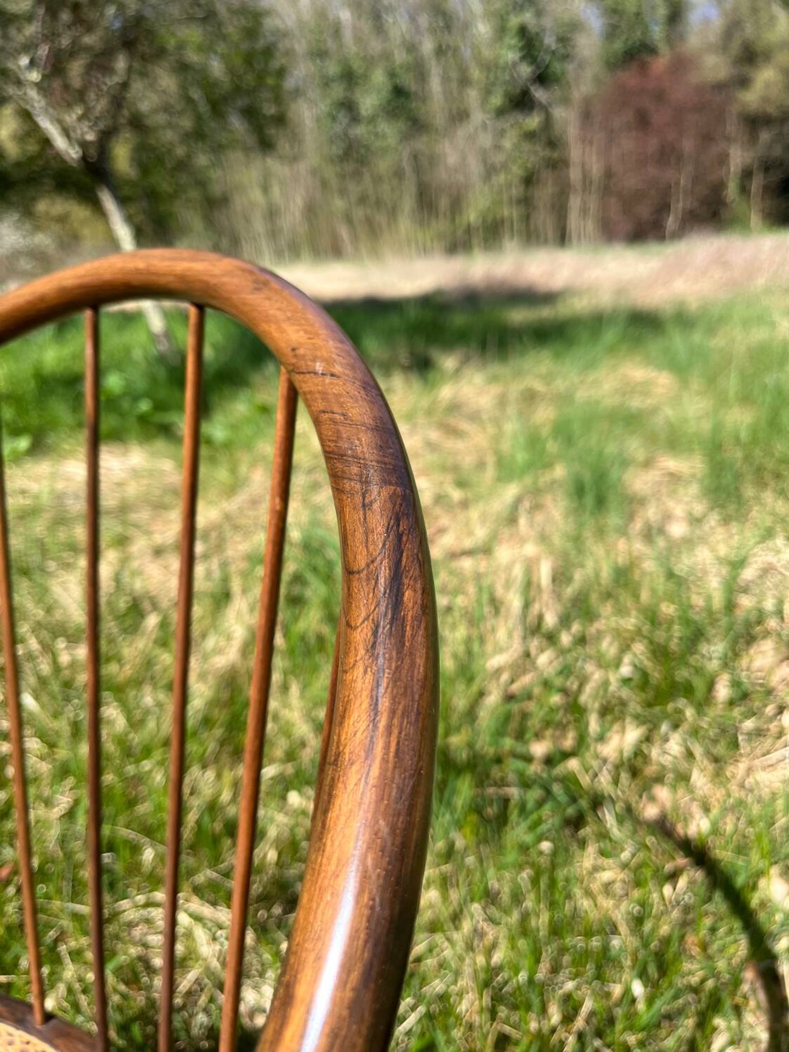 Chaise Curva Joaquim Tenreiro