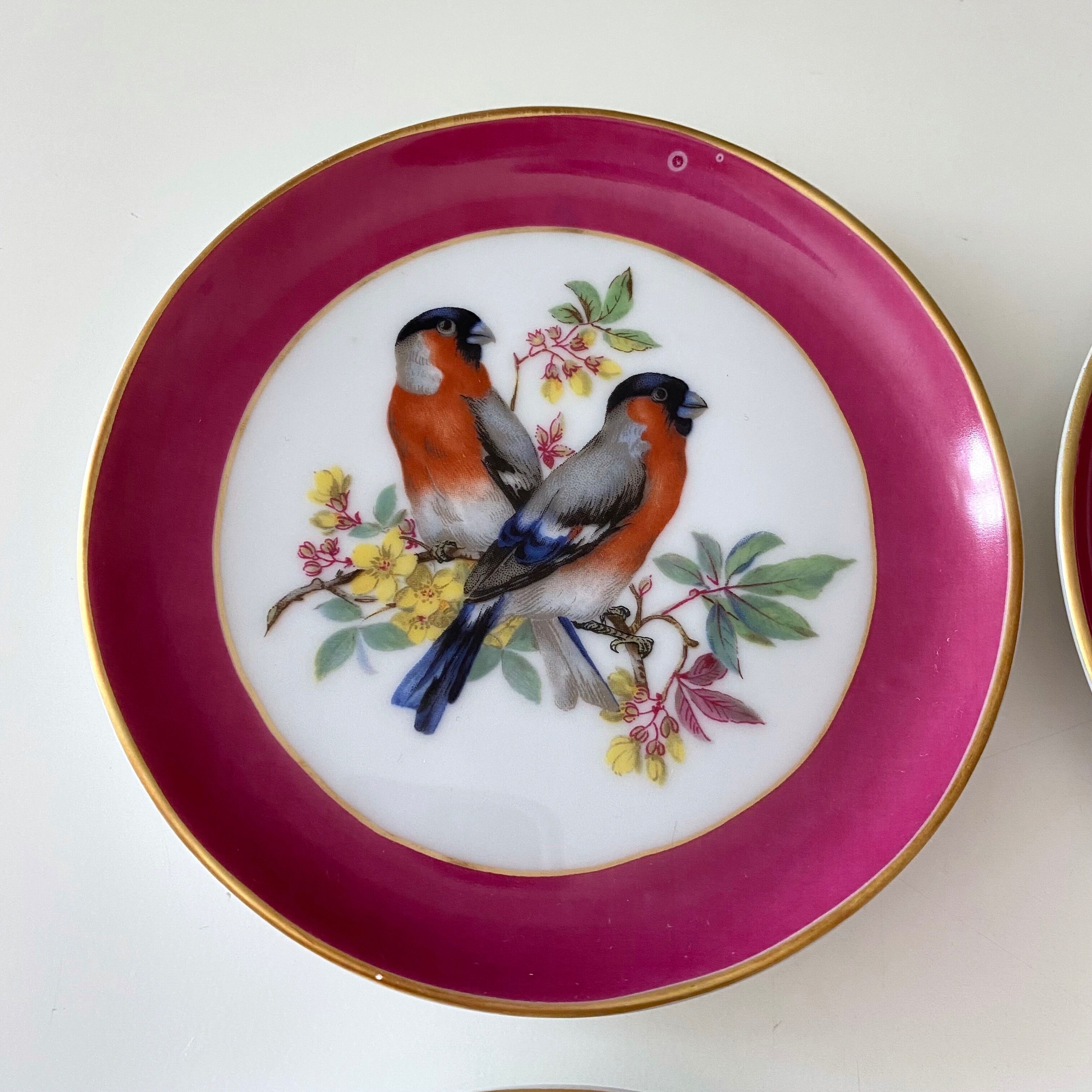 Vintage wall plates, birds, Kaiser AK Germany