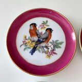 Vintage wall plates, birds, Kaiser AK Germany
