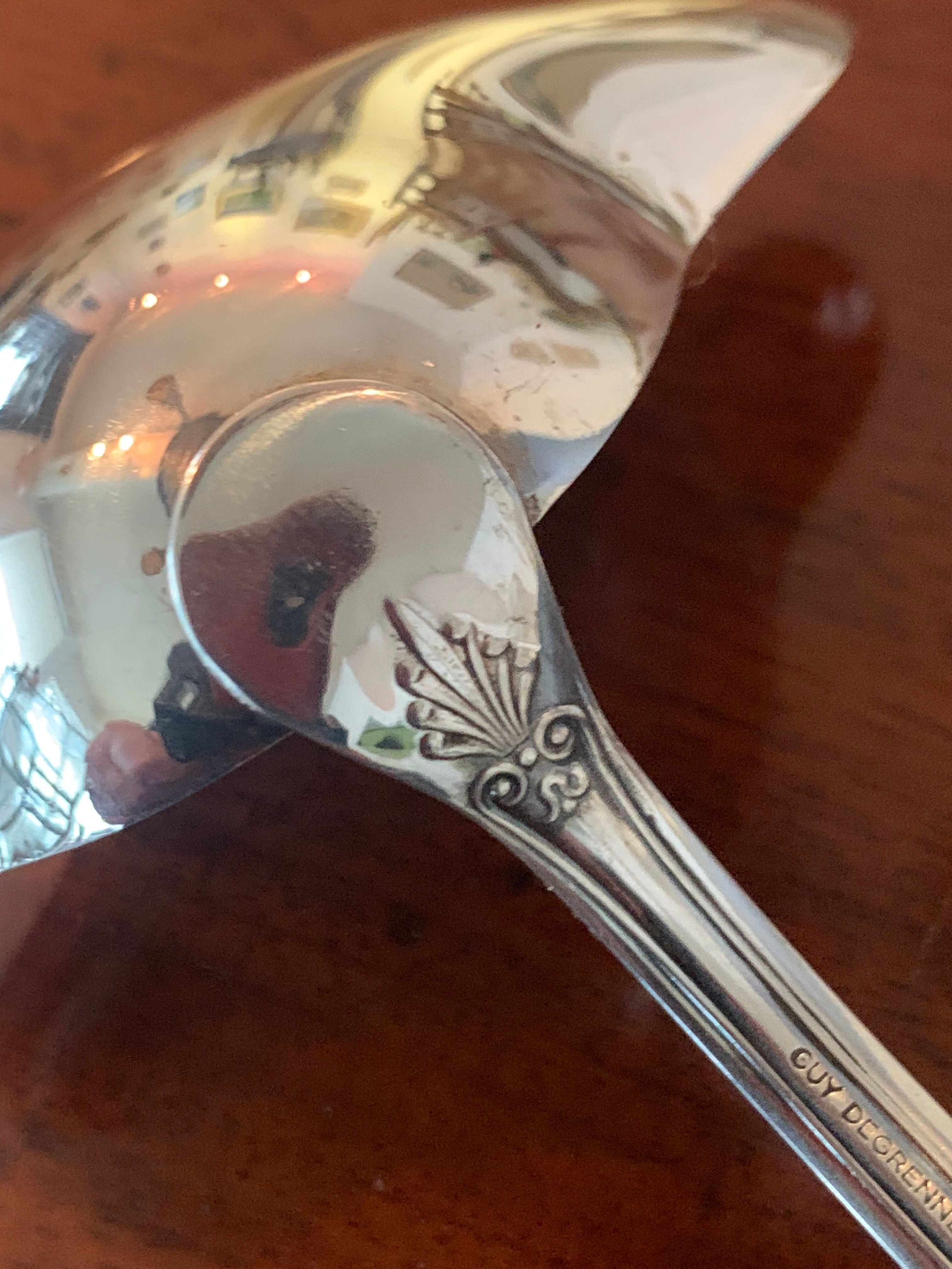 Lean fat sauce spoon