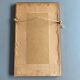 Set of 2 antique botanical drawings, prints, 1st half 20th century