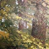 Painting Path in the undergrowth