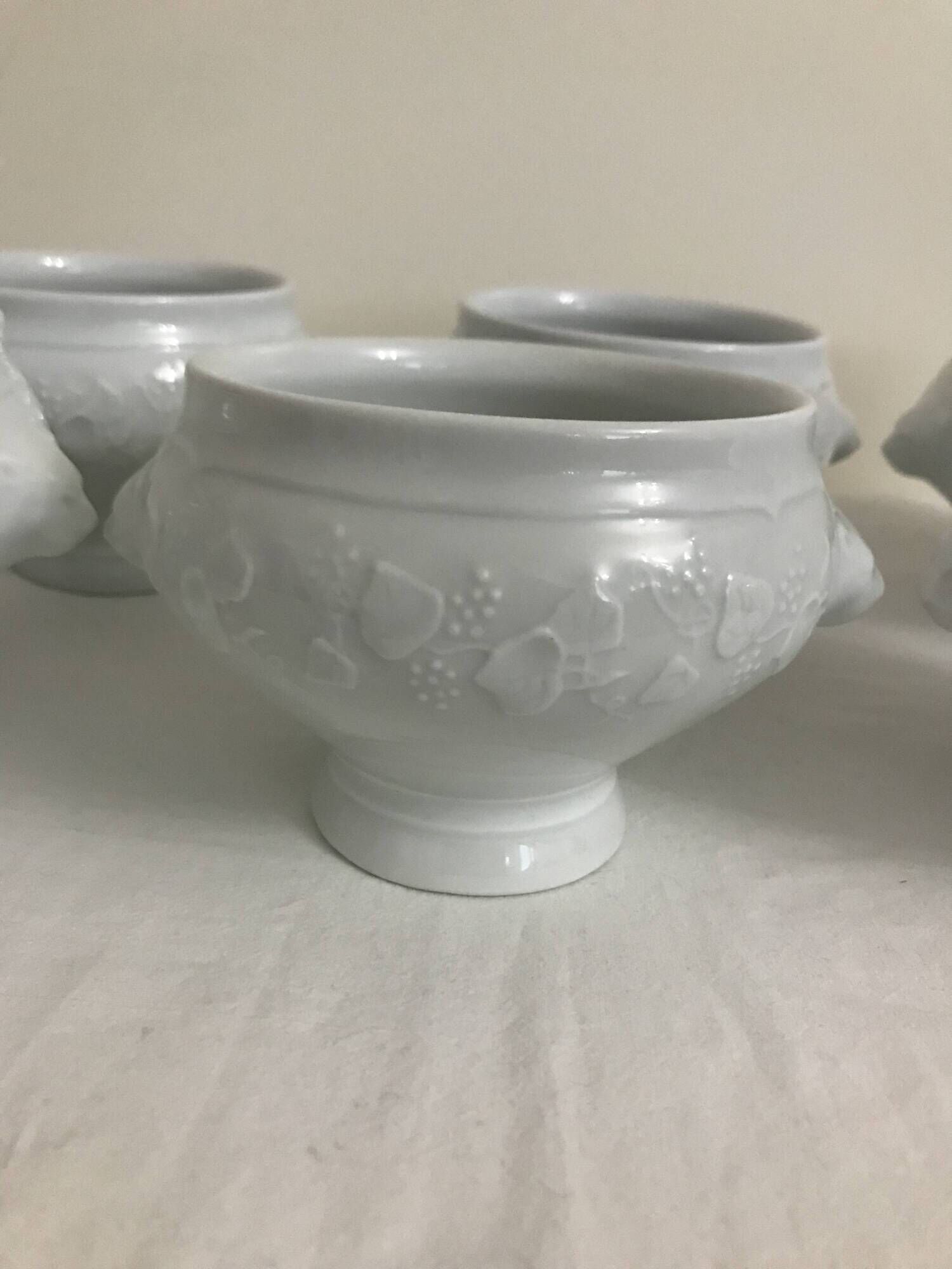 6 white porcelain broth bowls Wild Ivy